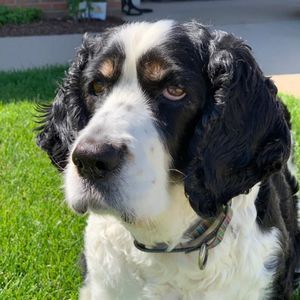 Meet your Posher, Patricia